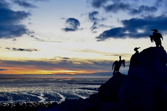 3 cormorant statues on a rock