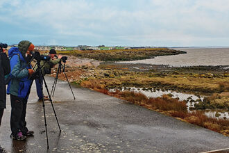 People using binoculars at coast
