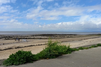Beach, blue sky, some plants