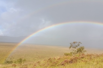 A rainbow over some grassland