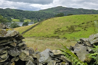 A picture of grassy fells with a dry stone wall in the foreground