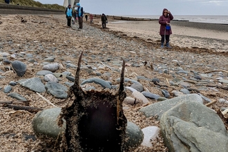 Egg case propped up by stones. You can see people on the beach and Rossall Point Tower in the distance