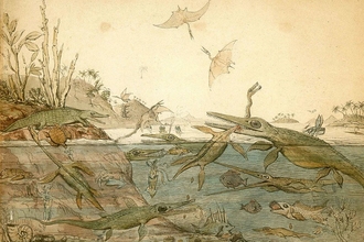 A prehistoric drawing of marine life.