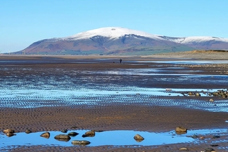 New Year's Beach Clean