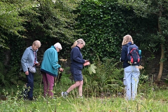 Four people in a garden.