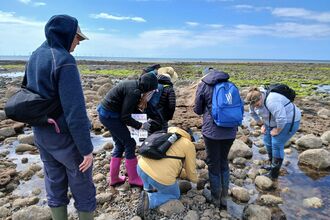 A group of people looking at an item on a rocky shore.