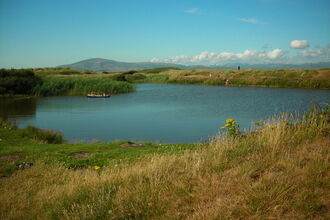A pond at North Walney Nature Reserve.