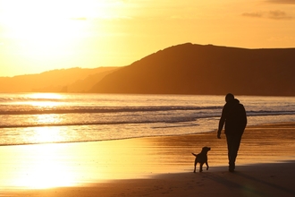 A dog and owner on the beach