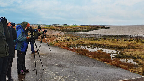 People using binoculars at coast