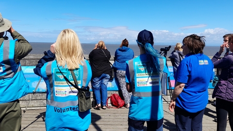 An image of the Bay team and public looking for dolphins on top of Rossall Point Tower, Fleetwood