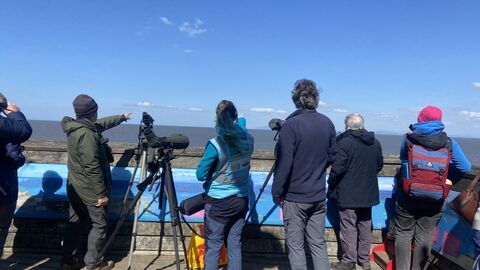 A picture of our group of Seawatchers at Rossall Point Tower