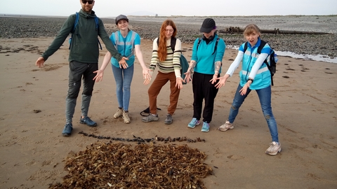 An amazed group looking at a pile of shark eggcases on the beach
