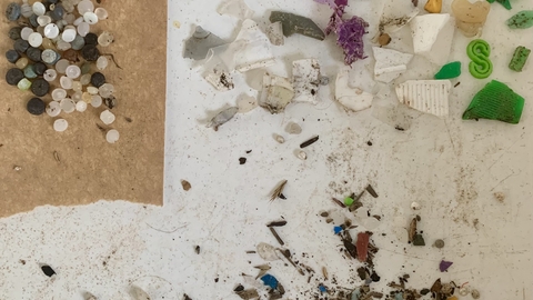 Small pieces of different types of plastic sorted into groups