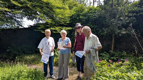 Four people standing in a garden