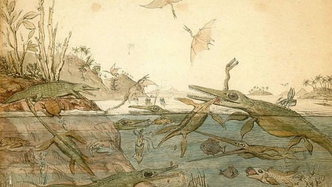 A prehistoric drawing of marine life.