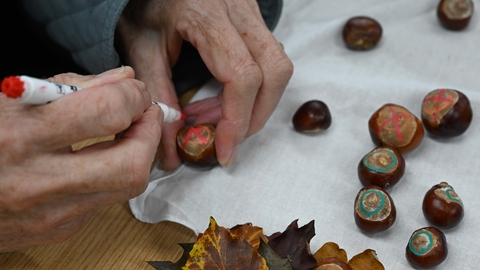 Decorating conkers