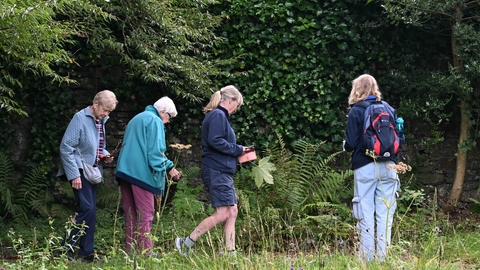 Four people in a garden.