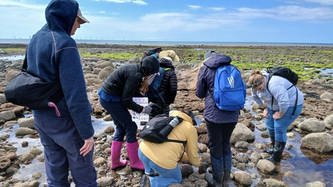 A group of people doing a survey on a beach
