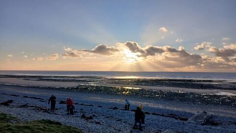 A group of people picking litter on a beach.