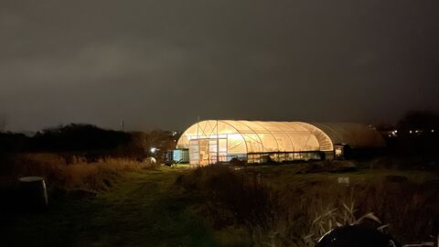 Glowing polytunnel