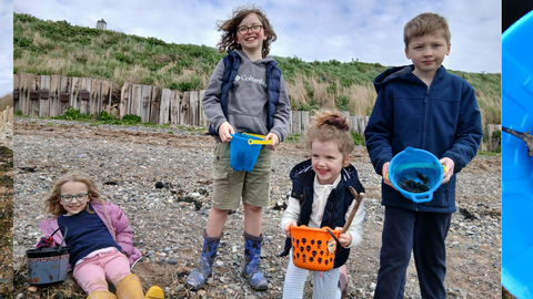 Children exploring the shore line