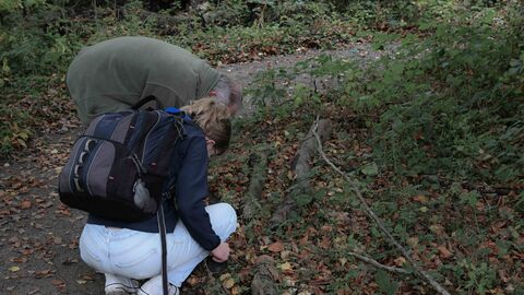 A man and women looking at something on the ground in a wood.