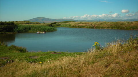 A pond at North Walney Nature Reserve.