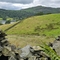 A picture of grassy fells with a dry stone wall in the foreground