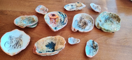 Shells with sea images on