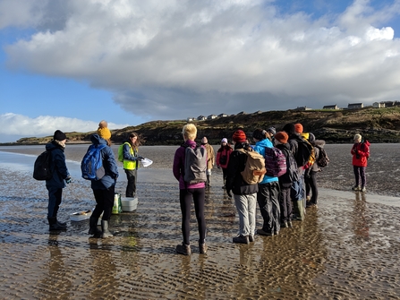 Ecowild students conducting a shoresearch at Half Moon Bay