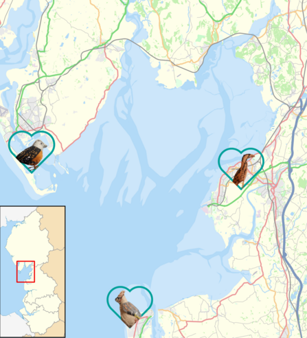 A map with three hearts showing vague locations of where geocaches are