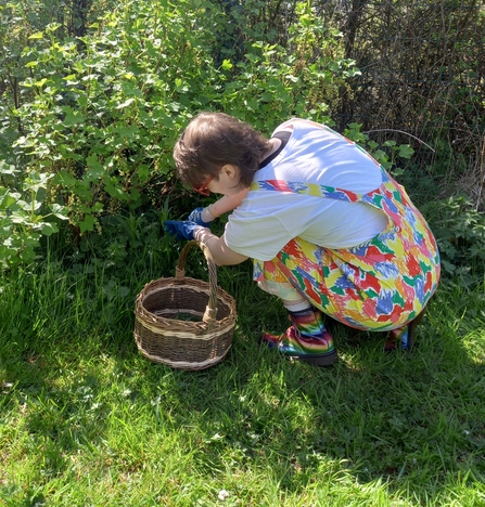 Foraging Nettles