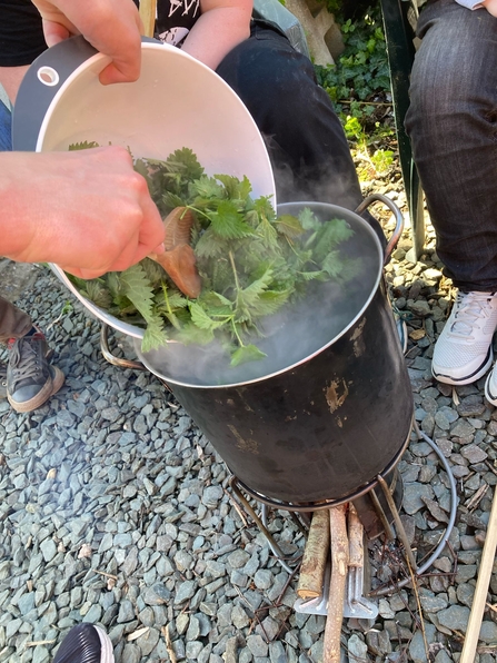 Foraged Nettle Curry 