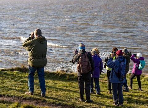 Birdwatchers in Heysham