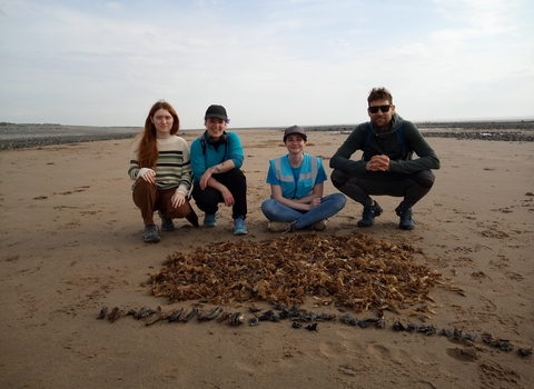 A group of people with eggcases