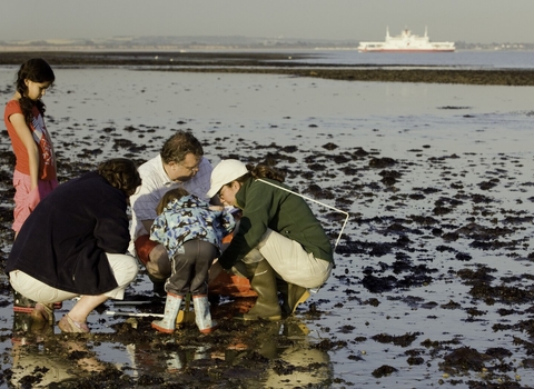 A family searching for sea creatures on a beach